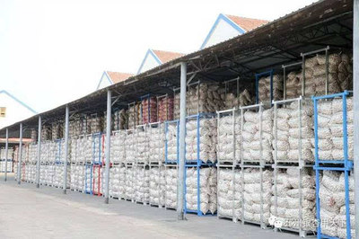 一棵樹、一塊板、一頭蒜,邳州現(xiàn)代農(nóng)業(yè)這篇文章大有所為-財經(jīng)頻道-手機