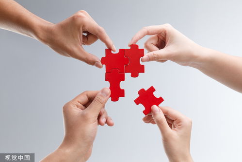 國泰君安2023年業績回顧 營收凈利雙降下的穩健分紅與代理記賬業務展望