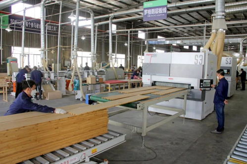 邵武 一筆大額資金的民生賬本與高質(zhì)量發(fā)展探索